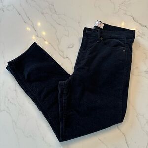 Black Velvet-like 🖤 Gap pants